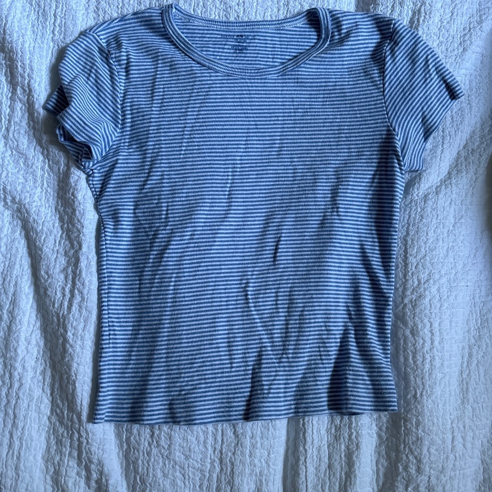 Brandy Melville cropped blue and white striped t-shirt